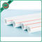Durable Plastic PPR Pipe / Plastic Plumbing Pipe PN10 - PN25 16 - 110mm Length